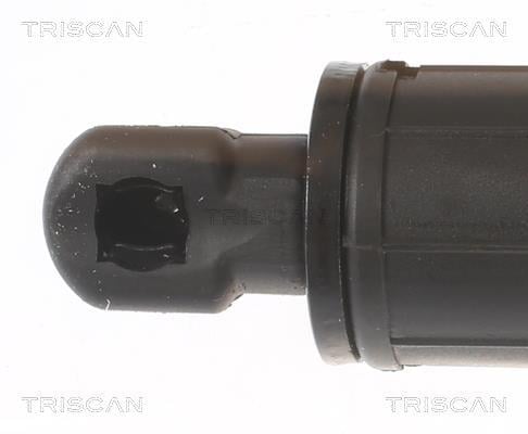 Muelle neumático, maletero/compartimento de carga Triscan A/S ref. 8710 27304