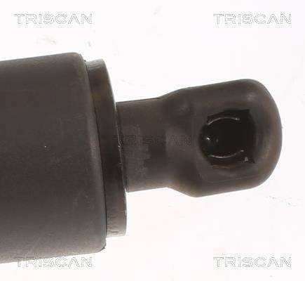 Muelle neumático, maletero/compartimento de carga Triscan A/S ref. 8710 27304