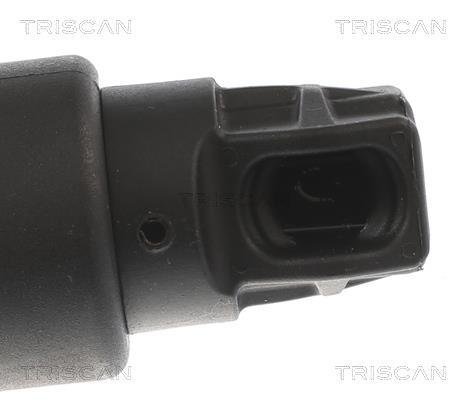 Muelle neumático, maletero/compartimento de carga Triscan A/S ref. 8710 27305
