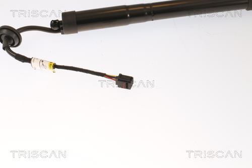 Muelle neumático, maletero/compartimento de carga Triscan A/S ref. 8710 27309