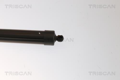 Muelle neumático, maletero/compartimento de carga Triscan A/S ref. 8710 27309