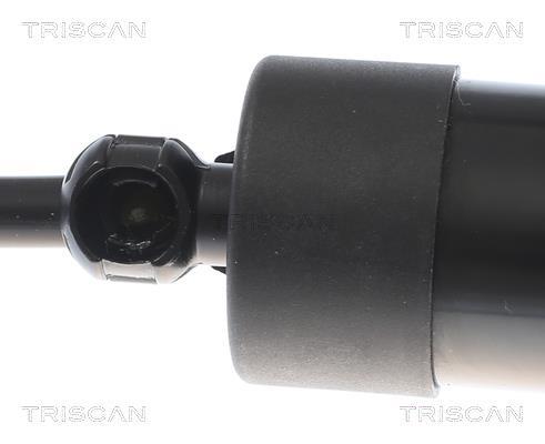 Muelle neumático, maletero/compartimento de carga Triscan A/S ref. 8710 27310
