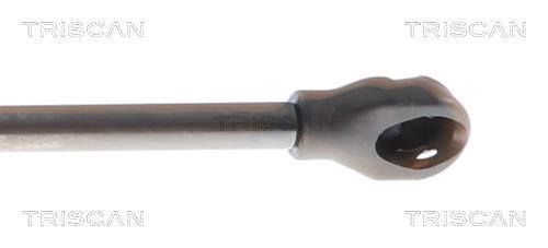 Muelle neumático, capó de motor Triscan A/S ref. 8710 27313