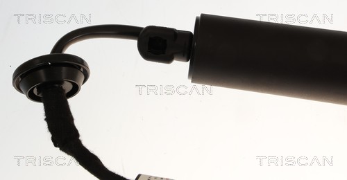 Vérin de hayon, de coffre (Vérin de hayon) Triscan A/S 8710 27319