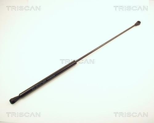 Vérin (Vérin de hayon) Triscan A/S 8710 2805