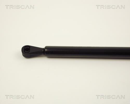 Vérin (Vérin de hayon) Triscan A/S 8710 2805