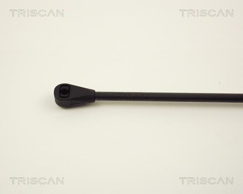 Vérin (Vérin de hayon) Triscan A/S 8710 2805