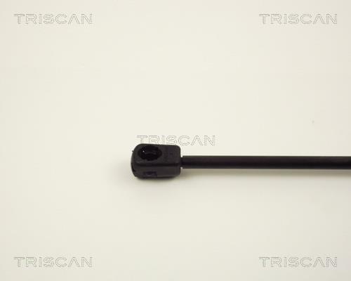 Vérin (Vérin de hayon) Triscan A/S 8710 2807