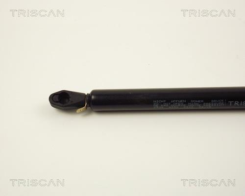 Vérin (Vérin de hayon) Triscan A/S 8710 2808