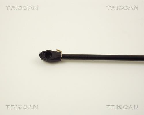 Vérin (Vérin de hayon) Triscan A/S 8710 2808
