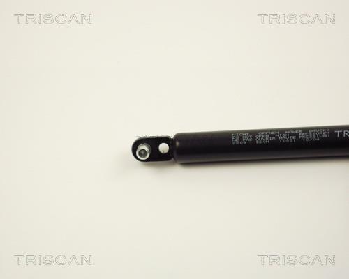 Cilindro Triscan A/S 8710 2809