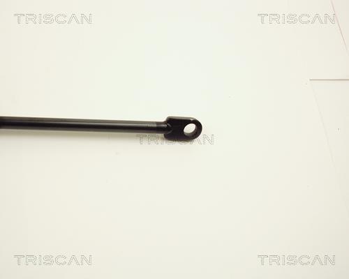 Cilindro Triscan A/S 8710 2809