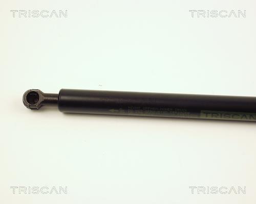 Cilindro Triscan A/S 8710 28103