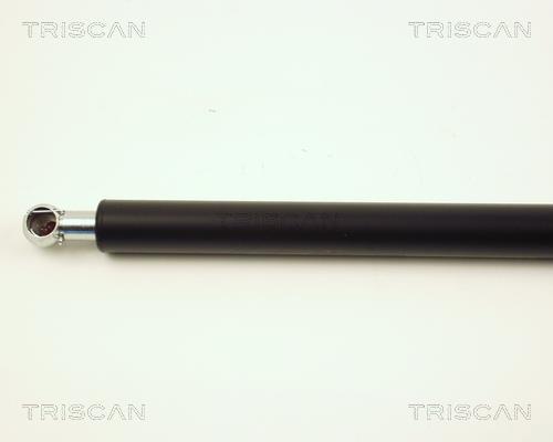 Vérin (Vérin de hayon) Triscan A/S 8710 28104