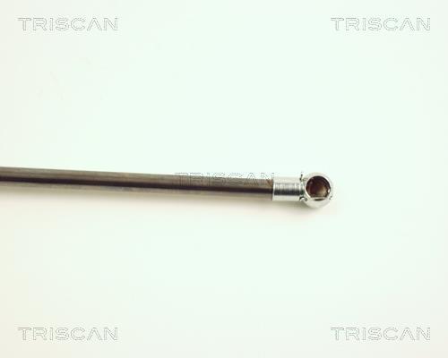 Vérin (Vérin de hayon) Triscan A/S 8710 28104