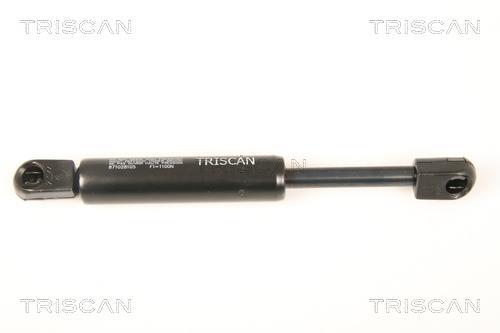 Cilindro Triscan A/S 8710 28105