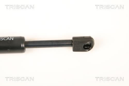 Cilindro Triscan A/S 8710 28105
