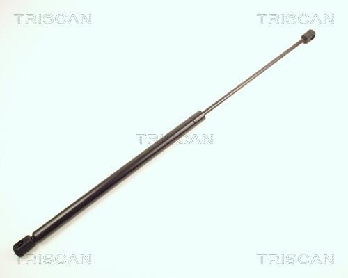 Vérin (Vérin de hayon) Triscan A/S 8710 28206