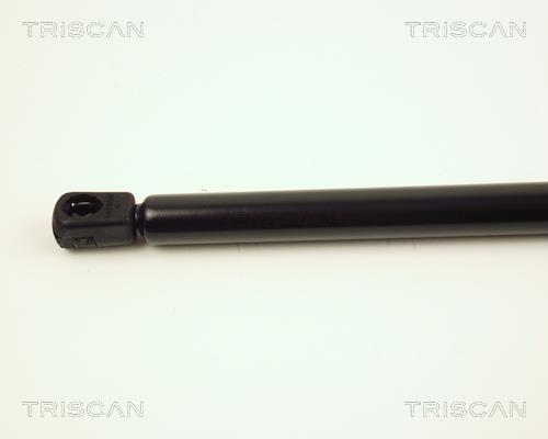 Vérin (Vérin de hayon) Triscan A/S 8710 28206