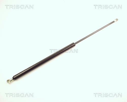 Vérin (Vérin de hayon) Triscan A/S 8710 28211