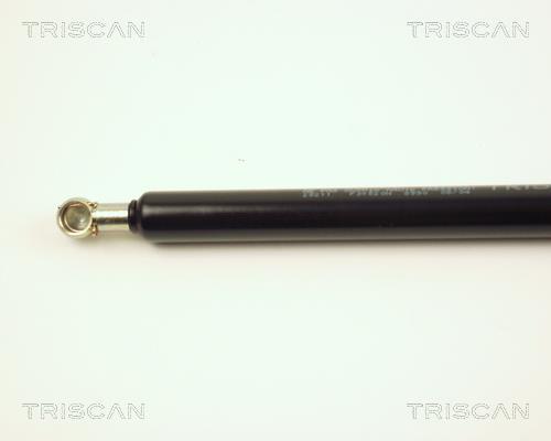 Vérin (Vérin de hayon) Triscan A/S 8710 28211
