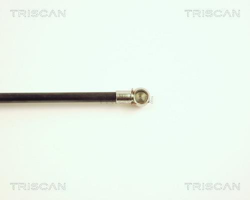 Vérin (Vérin de hayon) Triscan A/S 8710 28211