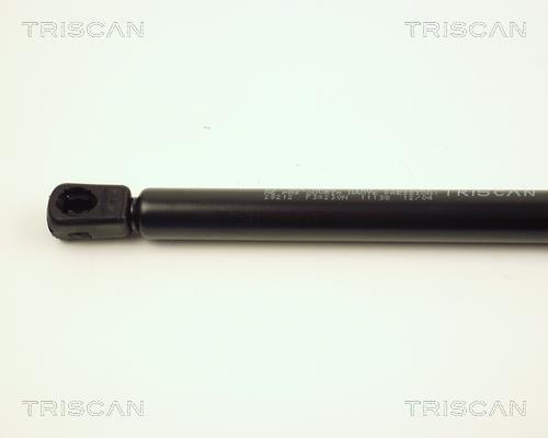 Vérin (Vérin de hayon) Triscan A/S ref. 8710 28212