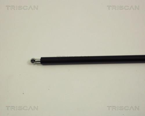 Vérin (Vérin de hayon) Triscan A/S ref. 8710 28216