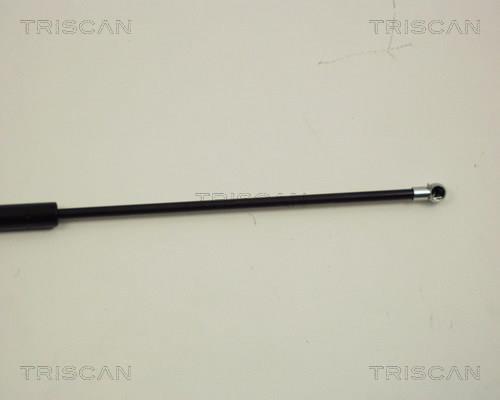 Vérin (Vérin de hayon) Triscan A/S ref. 8710 28216