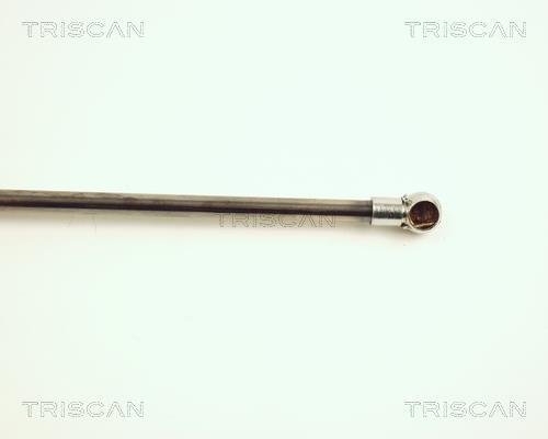 Muelle neumático Triscan A/S ref. 8710 28217