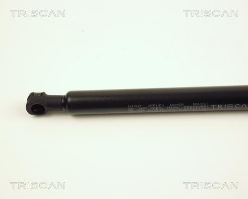 Vérin (Vérin de hayon) Triscan A/S 8710 28219