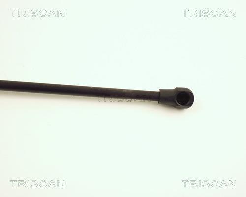 Vérin (Vérin de hayon) Triscan A/S 8710 28219