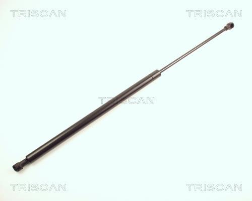 Vérin (Vérin de hayon) Triscan A/S 8710 28220