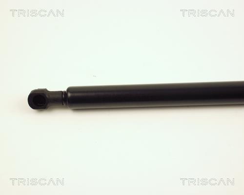 Vérin (Vérin de hayon) Triscan A/S 8710 28220
