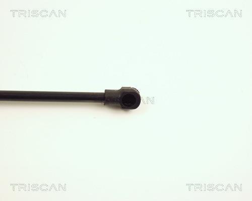 Vérin (Vérin de hayon) Triscan A/S 8710 28220