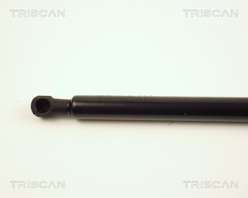 Vérin (Vérin de hayon) Triscan A/S ref. 8710 28221