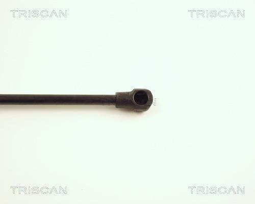 Vérin (Vérin de hayon) Triscan A/S ref. 8710 28221