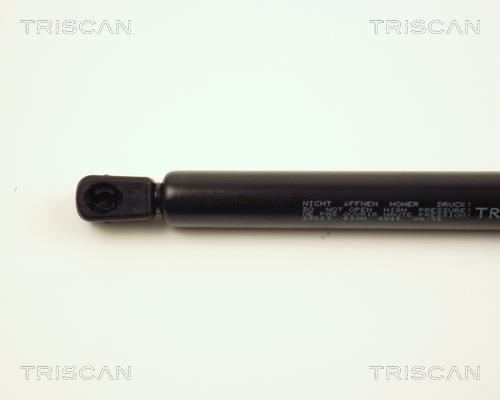 Vérin (Vérin de hayon) Triscan A/S ref. 8710 28223