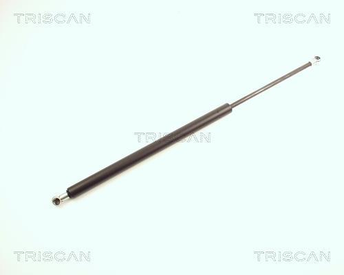 Vérin (Vérin de hayon) Triscan A/S 8710 28224