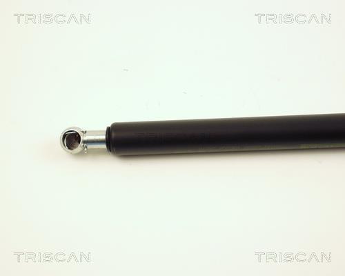 Vérin (Vérin de hayon) Triscan A/S 8710 28224
