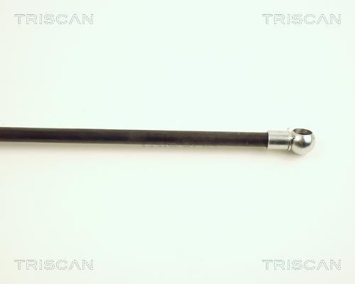 Vérin (Vérin de hayon) Triscan A/S 8710 28224