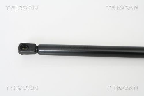 Cilindro Triscan A/S ref. 8710 28225