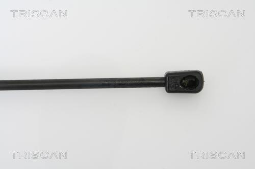 Cilindro Triscan A/S ref. 8710 28225