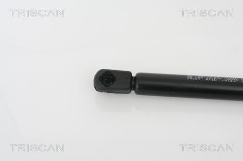 Vérin (Vérin de hayon) Triscan A/S ref. 8710 28227