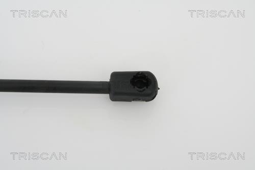 Vérin (Vérin de hayon) Triscan A/S 8710 28228
