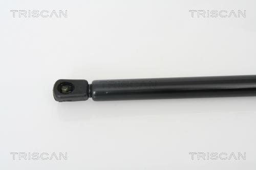 Muelle neumático Triscan A/S ref. 8710 28229