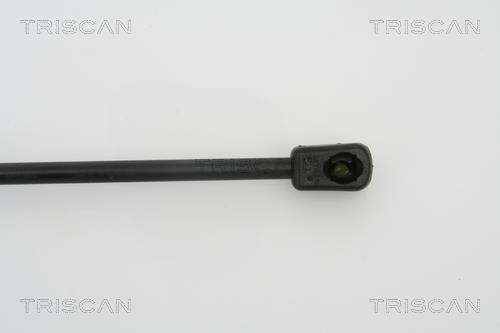 Muelle neumático Triscan A/S ref. 8710 28229