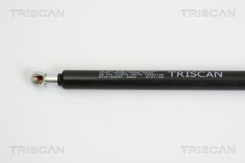 Vérin (Vérin de hayon) Triscan A/S 8710 28233