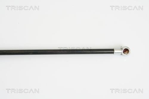 Vérin (Vérin de hayon) Triscan A/S 8710 28233