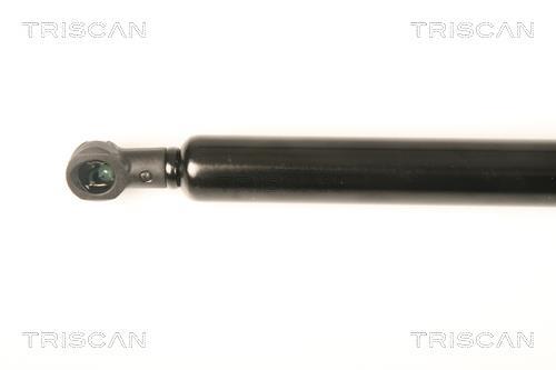 Vérin (Vérin de hayon) Triscan A/S ref. 8710 28234